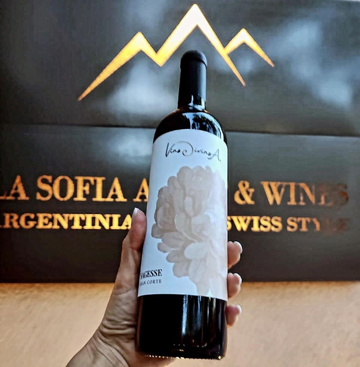 La Sofia Apart & Wines Mendoza Exteriör bild